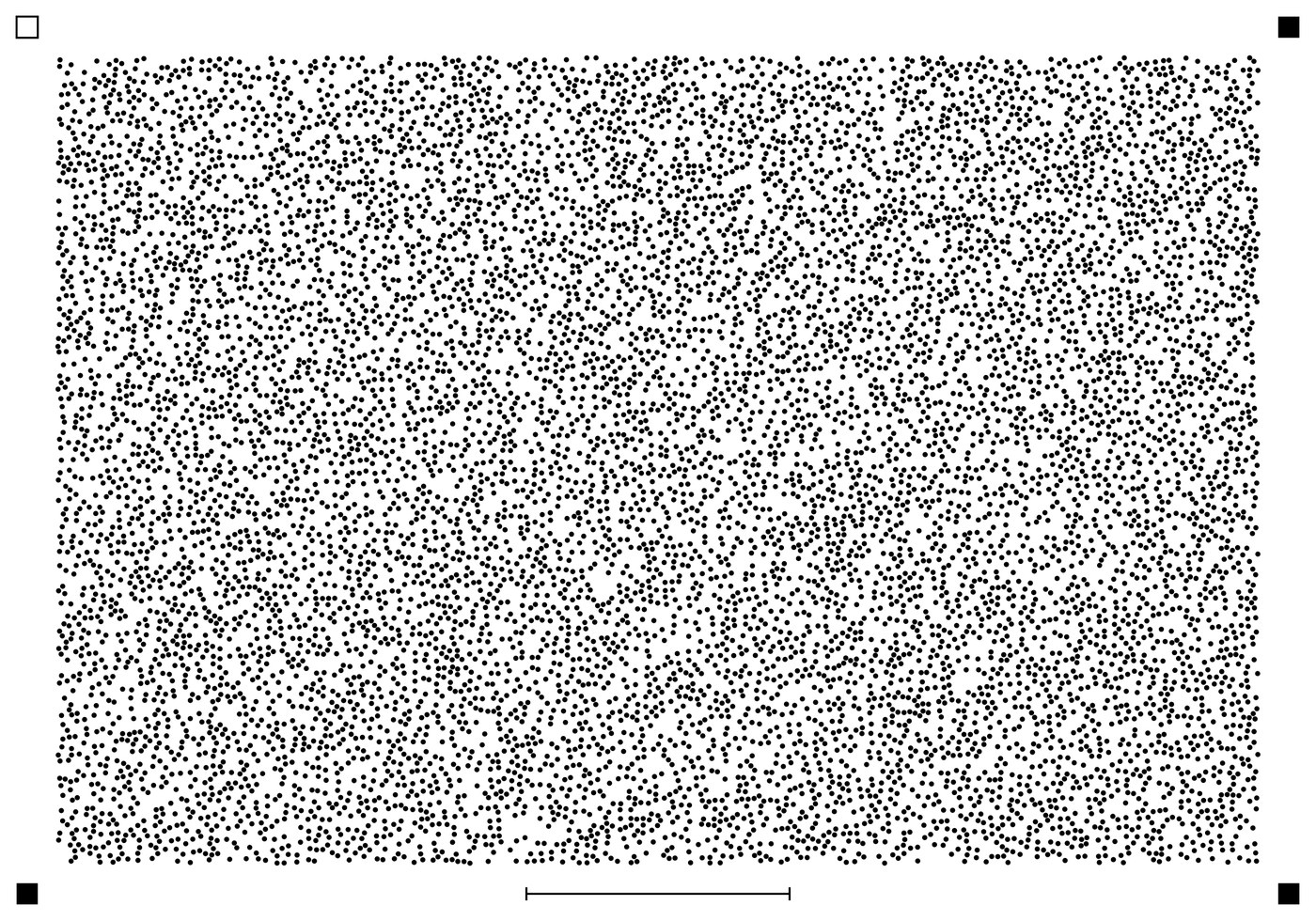 A seeded random-dot background that the app generates. Its seed makes it reproducible, and it exports as PNG, vector PDF or HTML