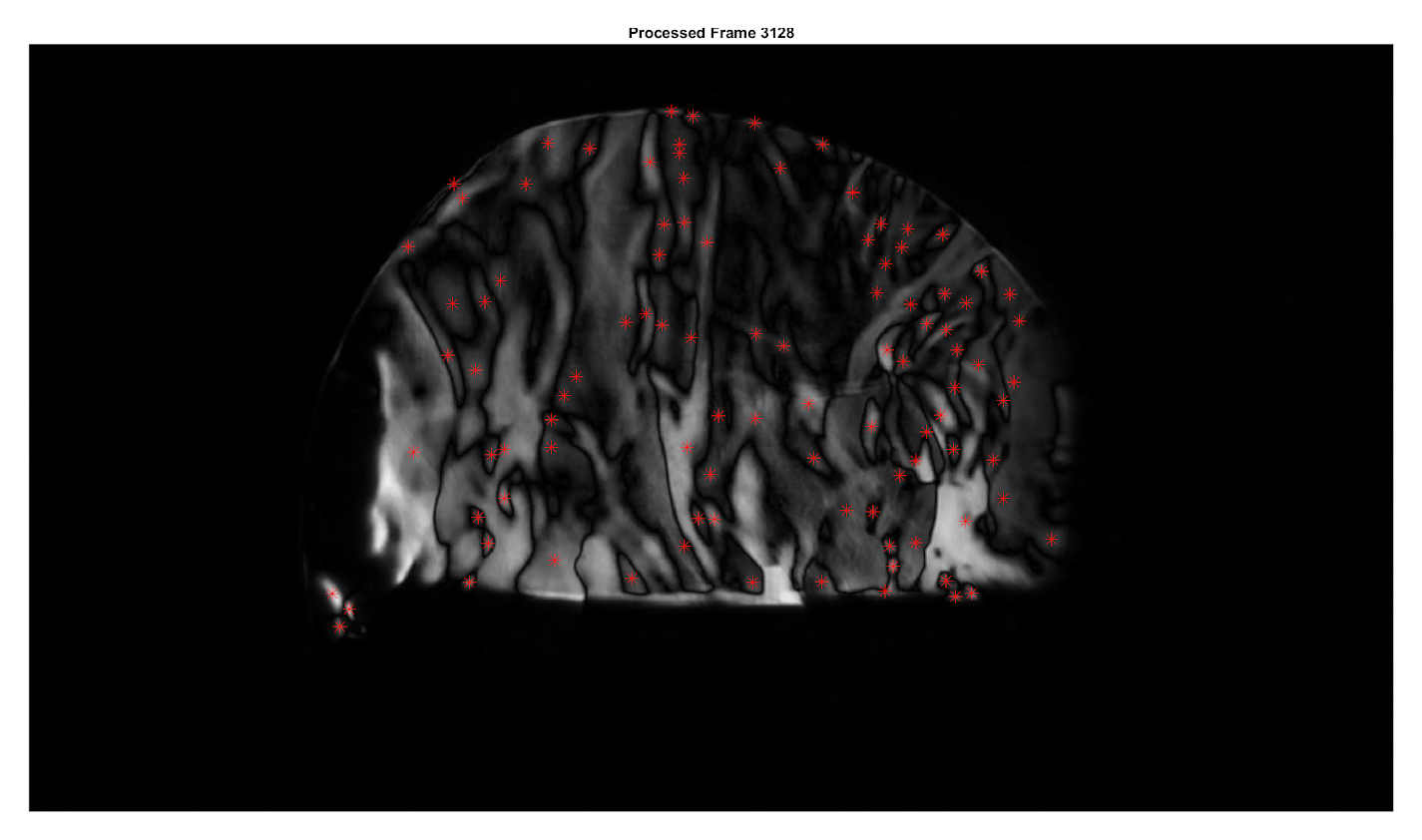 A processed frame from the high-temperature horizontal case, with the background removed, the streaks filtered and the tracked features marked in red.